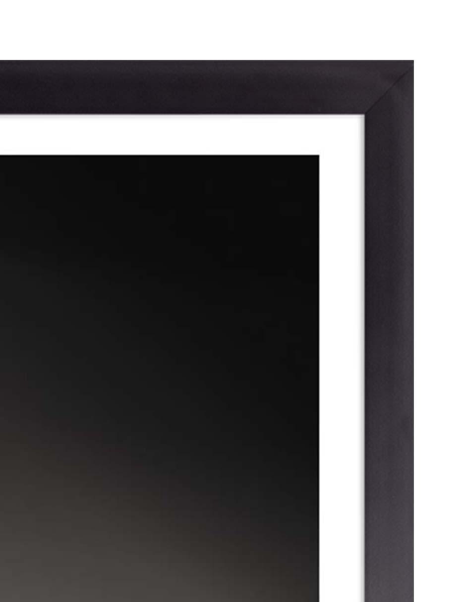 Cuadro decorativo Elegance 001 de 4
