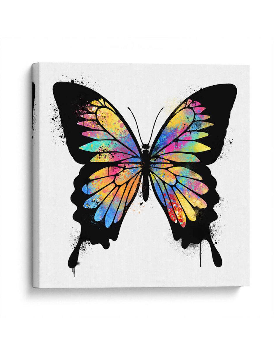 Litografía Mariposa Colores técnica Impresión Litografía Mariposa Colores técnica Impresión