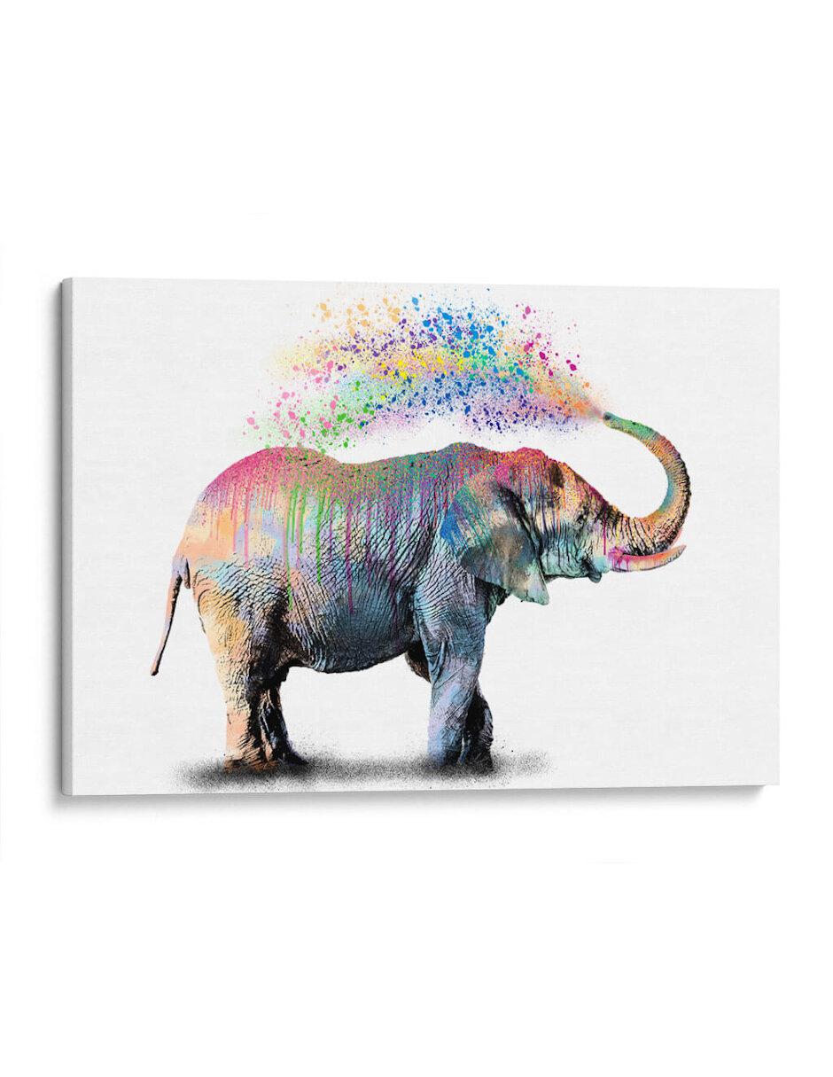 Litografía Elephant Color Shower técnica Impresión Litografía Elephant Color Shower técnica Impresión