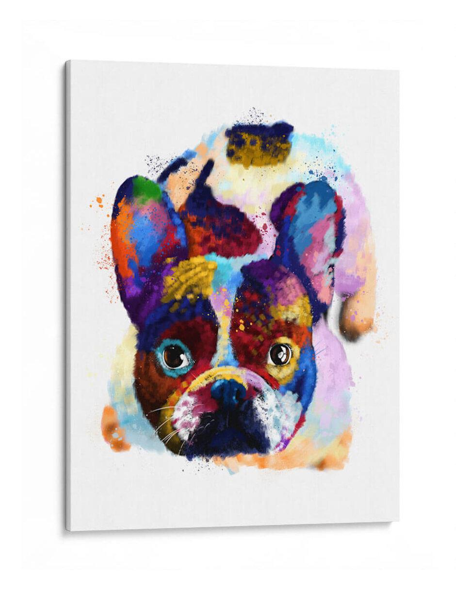 Litografía French Bulldog Colorido