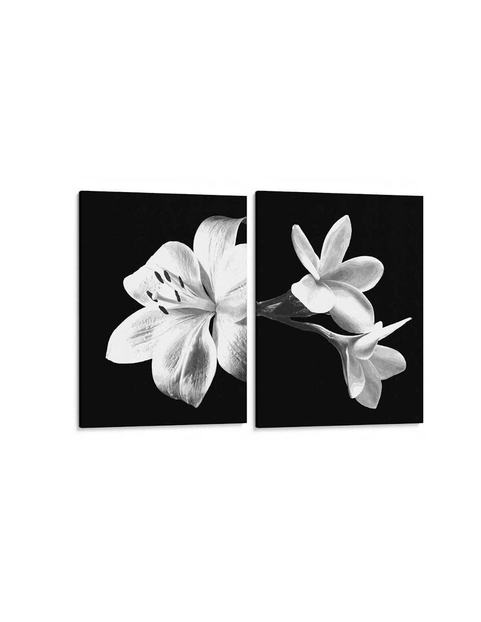 Litografía Flores En Blanco Y Negro Litografía Flores En Blanco Y Negro