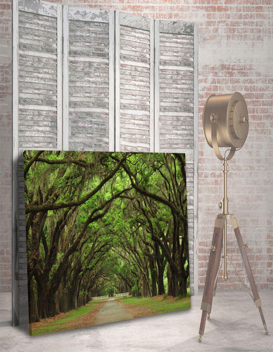 Cuadro Decorativo CanvasNaturaleza Antiguo Y Vereda Rectangular 4