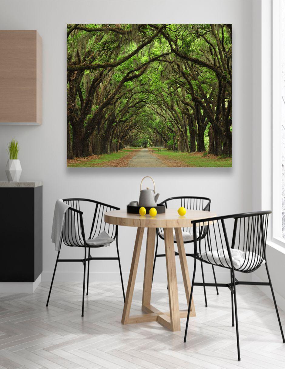 Cuadro Decorativo CanvasNaturaleza Antiguo Y Vereda Rectangular 5