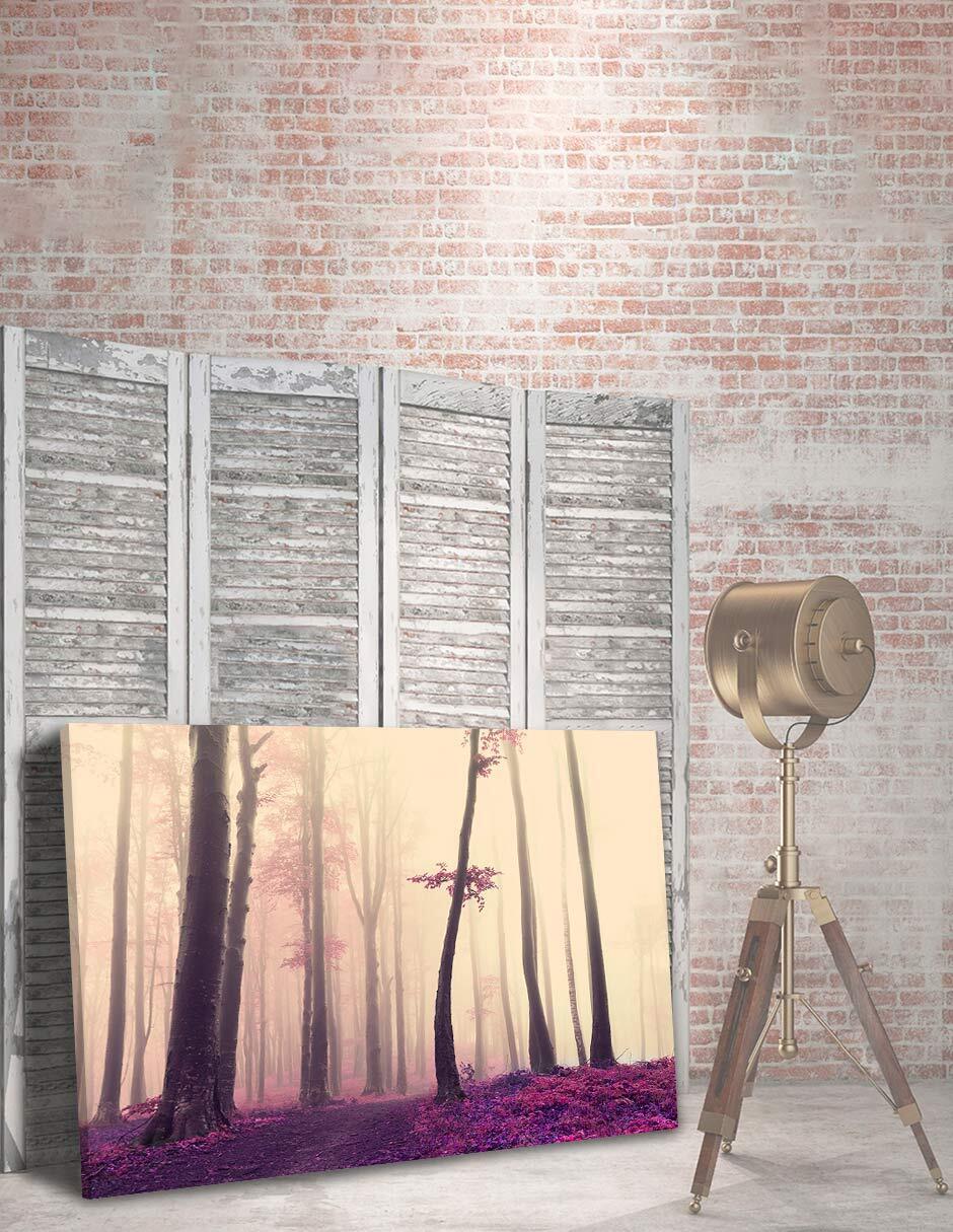 Cuadro decorativo Arbol Neblina 4