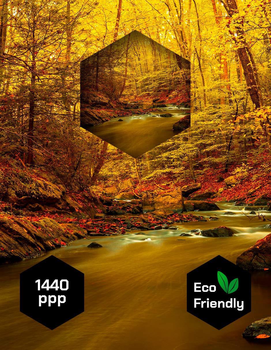Cuadro decorativo Naturaleza Cascada Rio Agua Otoño 3