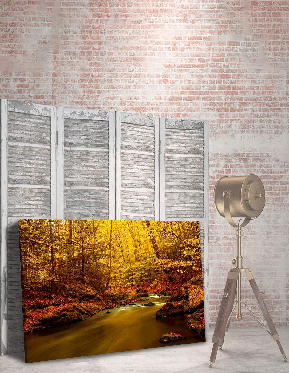 Cuadro decorativo Naturaleza Cascada Rio Agua Otoño 4