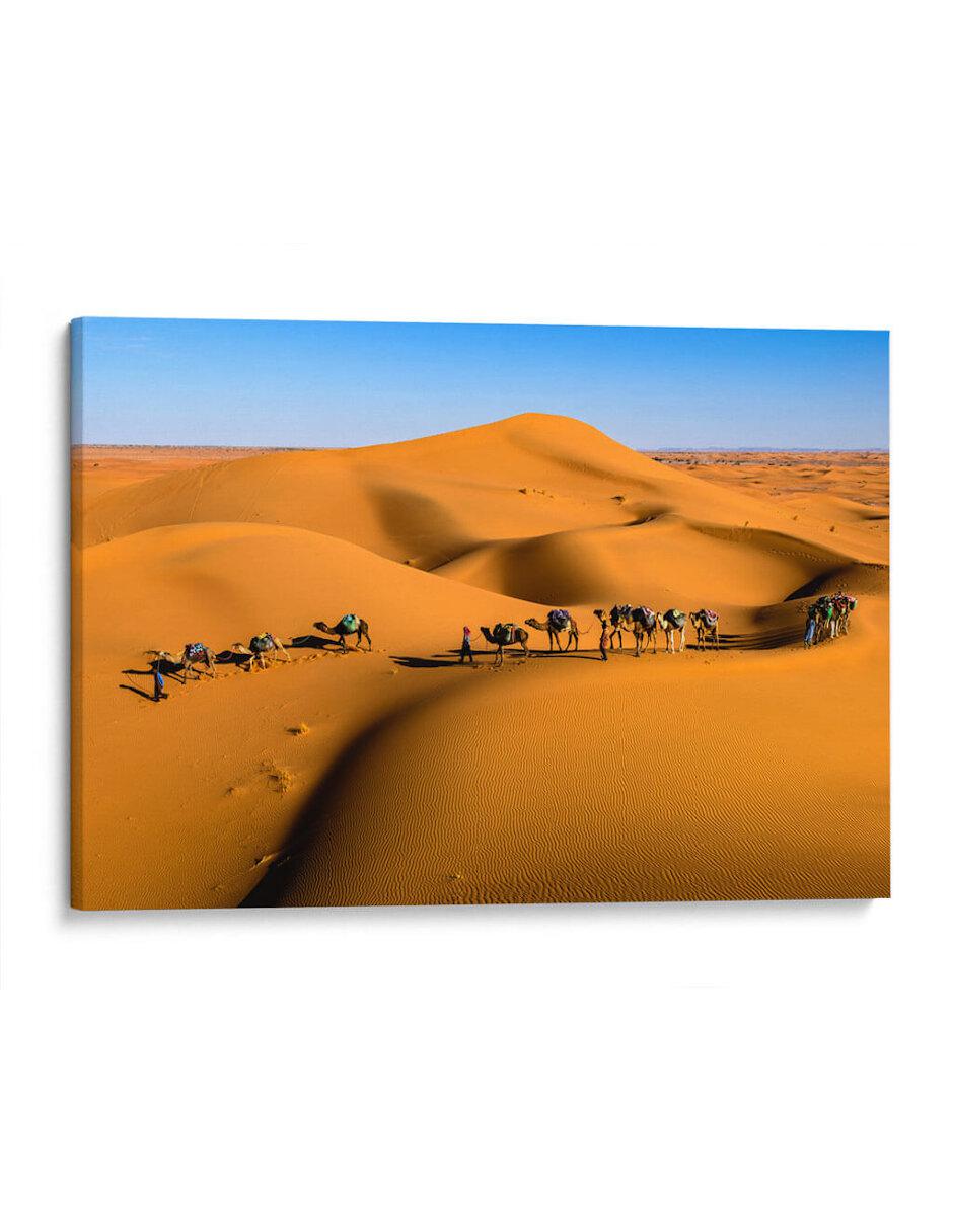 Litografía Camellos En Las Dunas