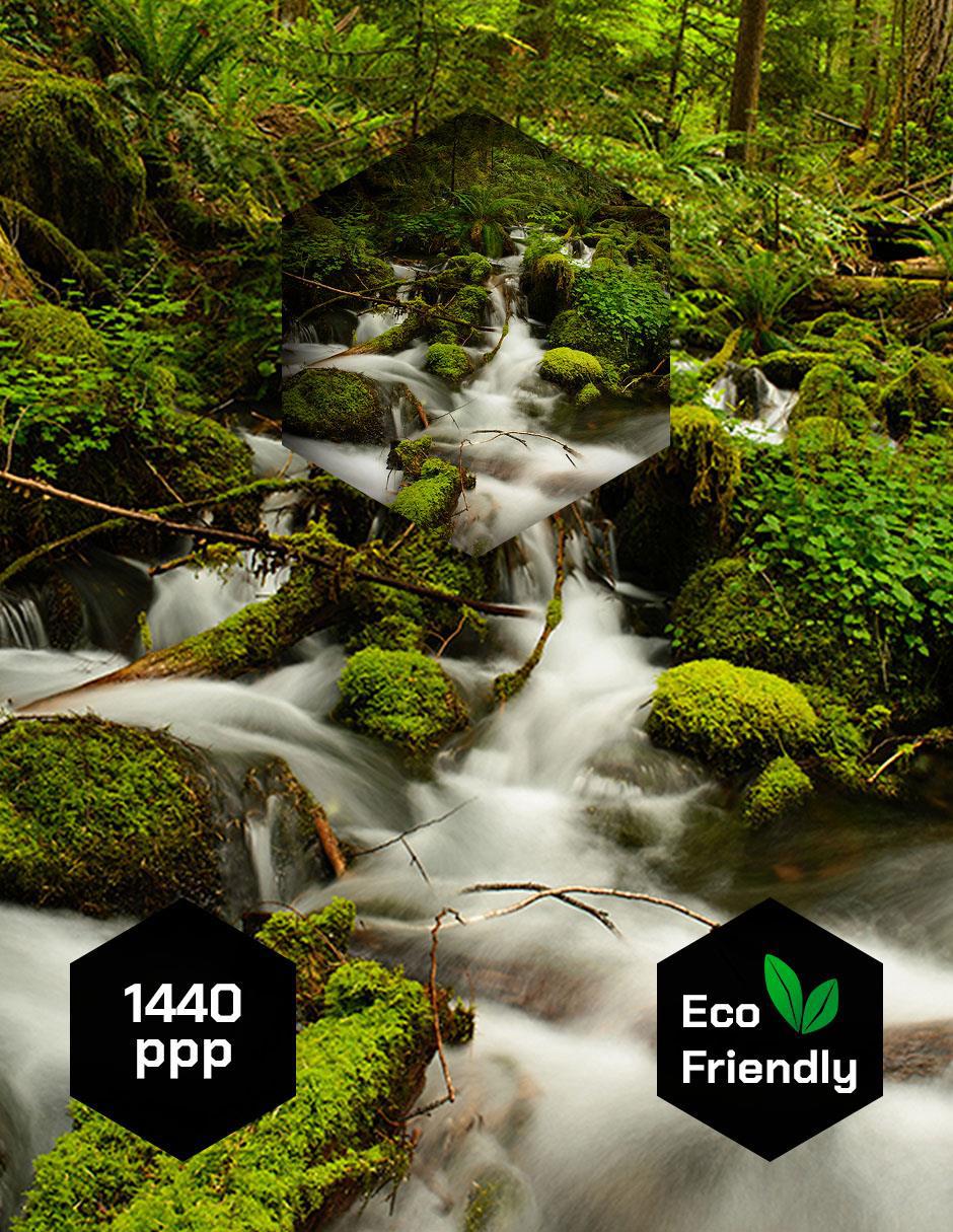 Cuadro decorativo Naturaleza Cascada Rio Rápido 3
