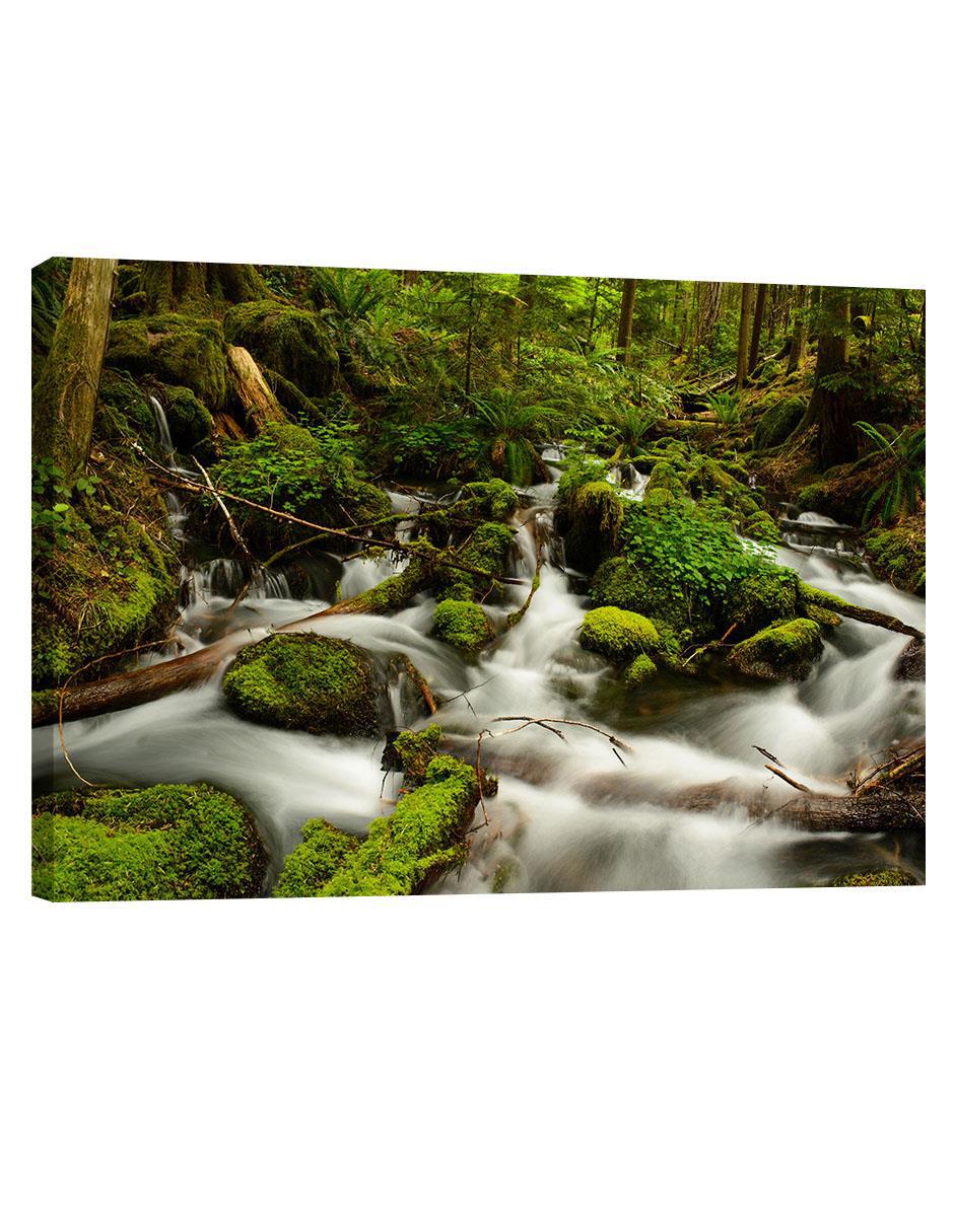 Cuadro decorativo Naturaleza Cascada Rio Rápido Cuadro decorativo Naturaleza Cascada Rio Rápido