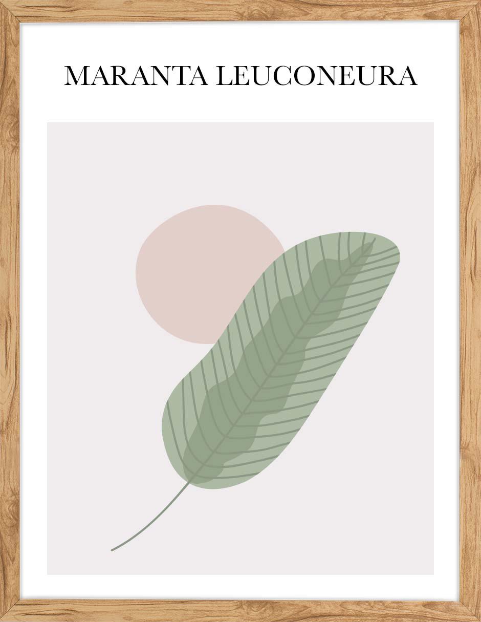 Cuadro decorativo Ilustraciones abstractas 002 de