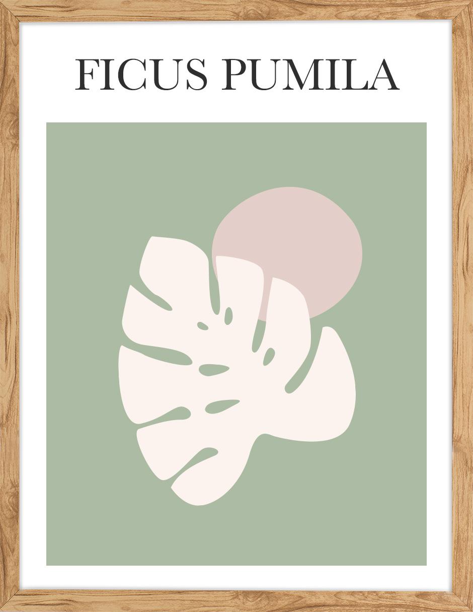 Cuadro decorativo Ilustraciones abstractas 001 de