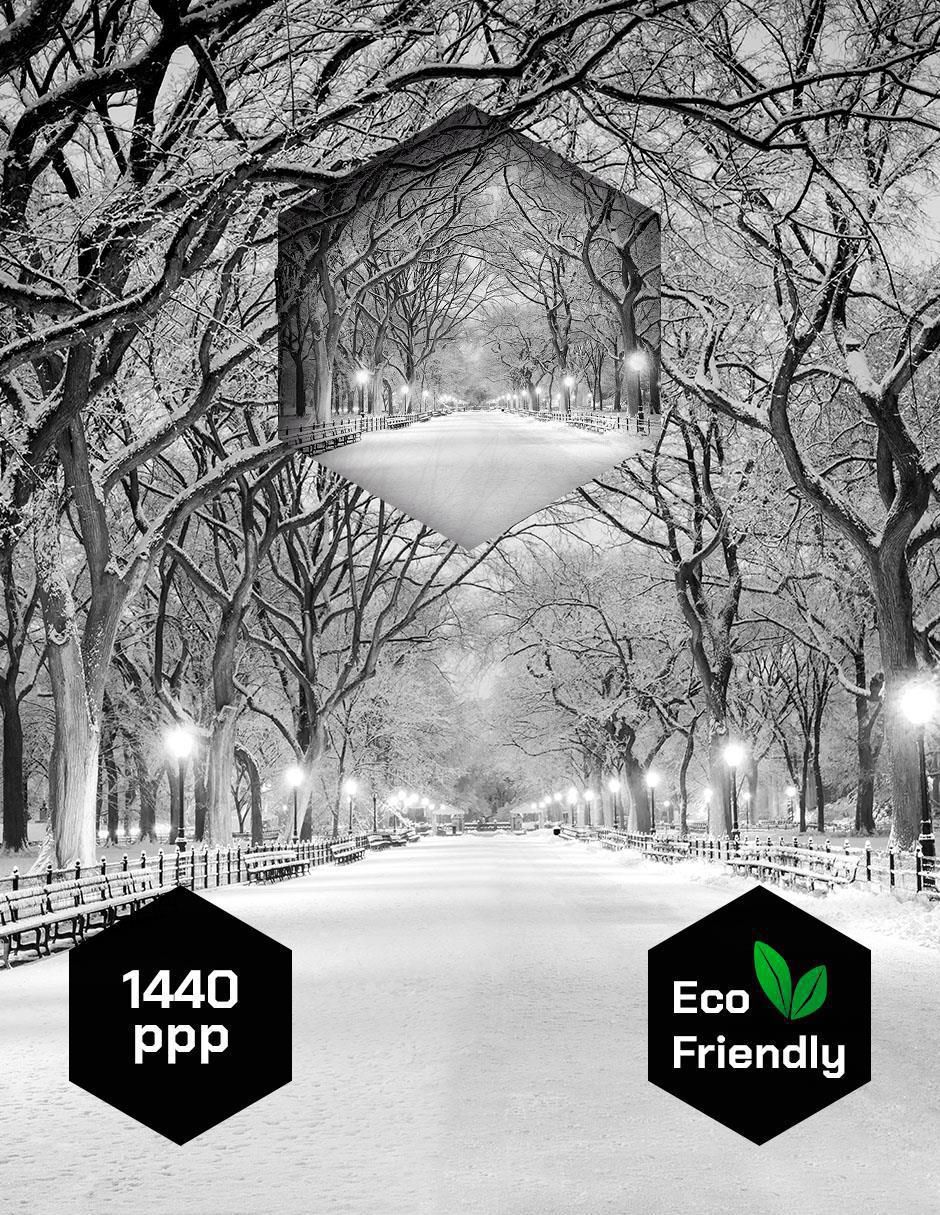 Cuadro decorativo Nueva York Nieve Central Park 3