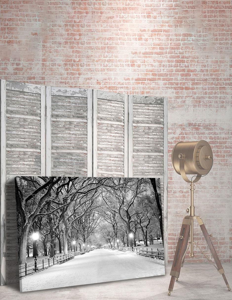 Cuadro decorativo Nueva York Nieve Central Park 4