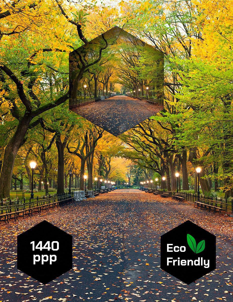 Cuadro decorativo Nueva York Central Park En Otoño 3