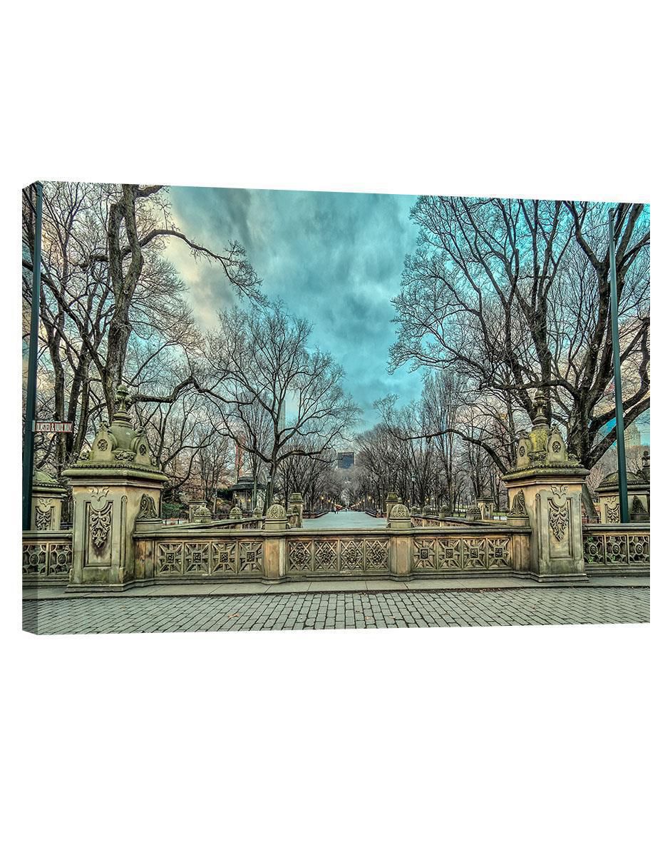 Cuadro decorativo Nueva York Central Park Frio