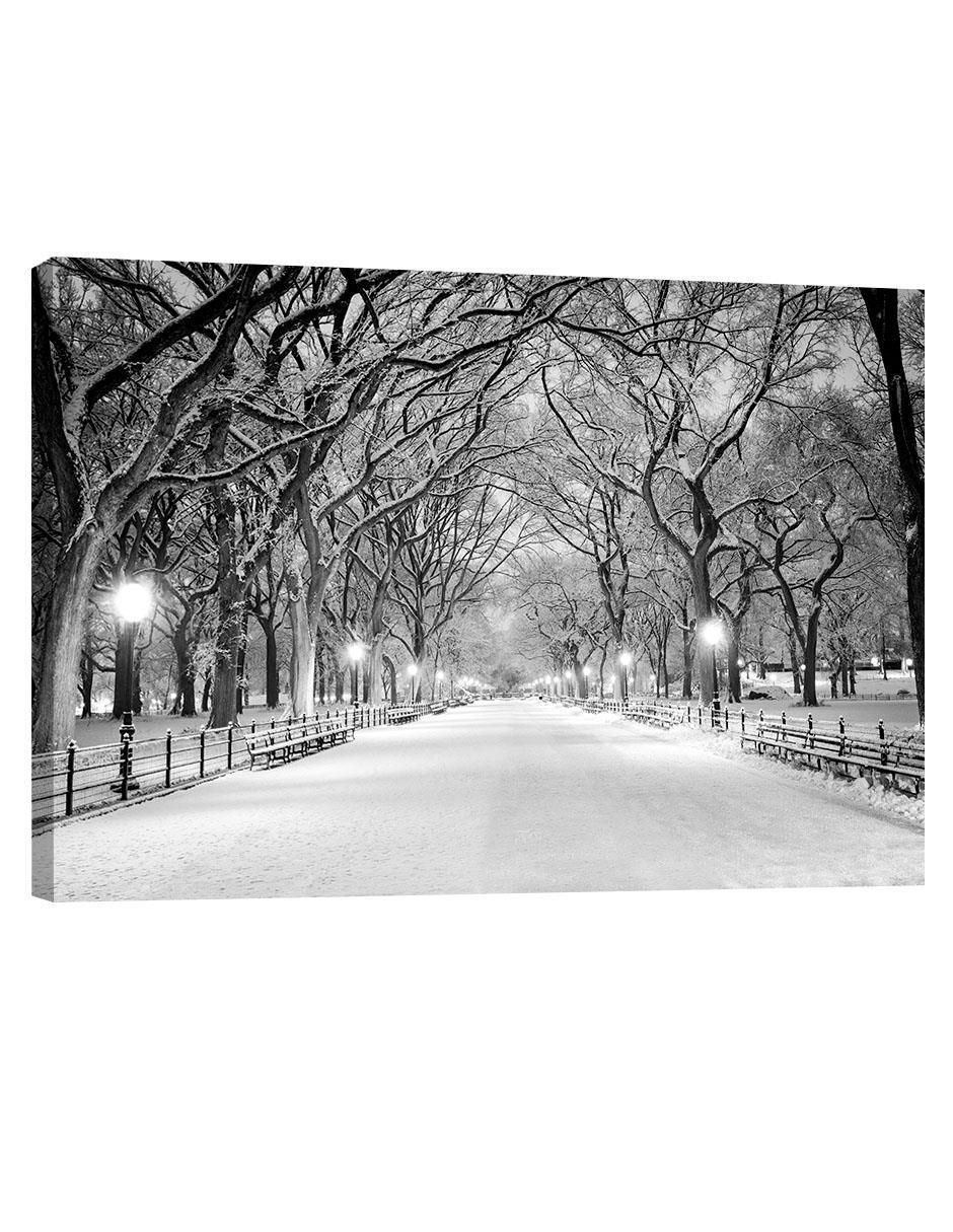 Cuadro decorativo Nueva York Nieve Central Park Cuadro decorativo Nueva York Nieve Central Park