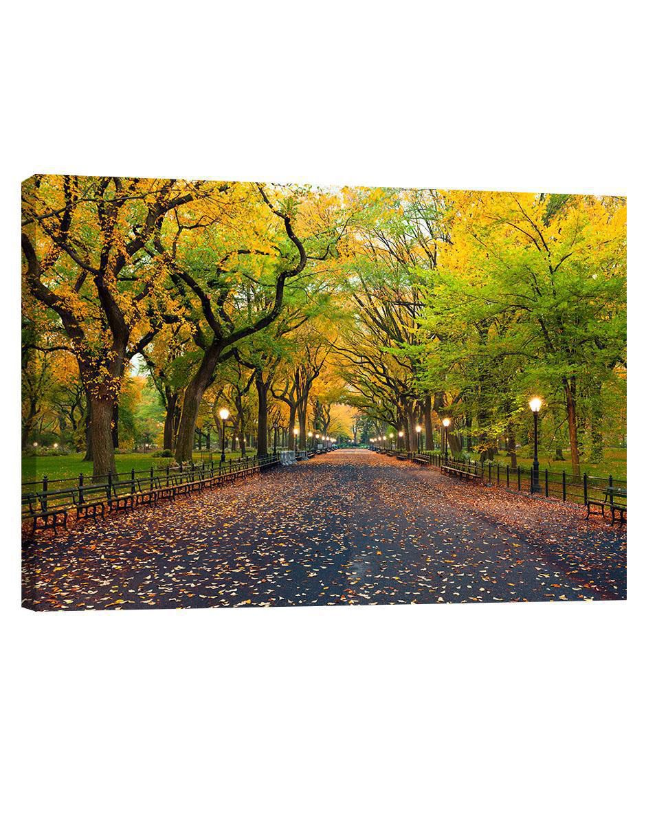 Cuadro decorativo Nueva York Central Park En Otoño Cuadro decorativo Nueva York Central Park En Otoño