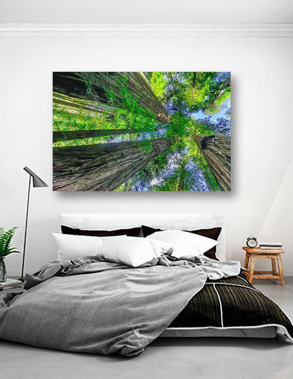Cuadro decorativo Naturaleza Bosque Arboles 5