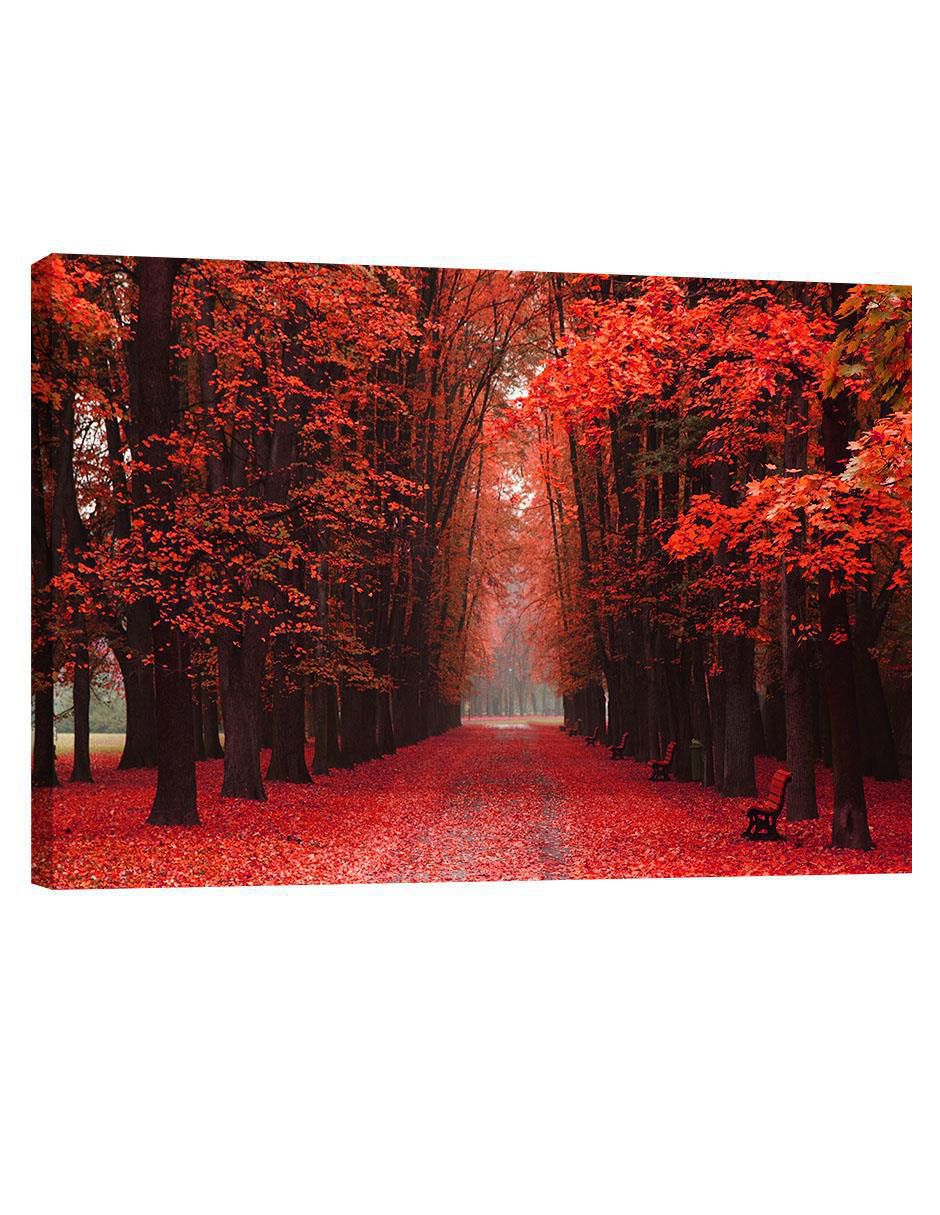 Cuadro Decorativo Naturaleza Bosque de Otoño