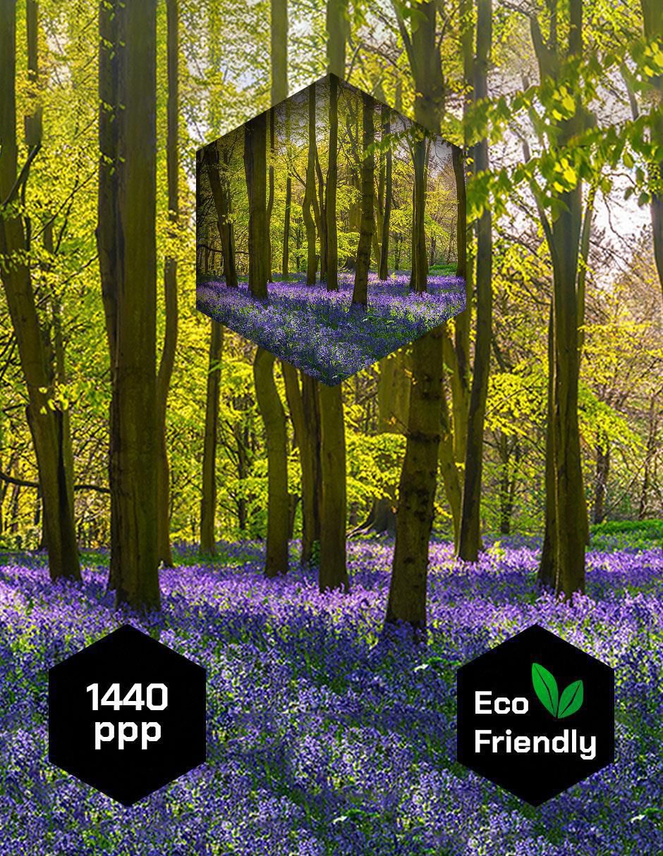 Cuadro decorativo Arboles y Lavanda 3