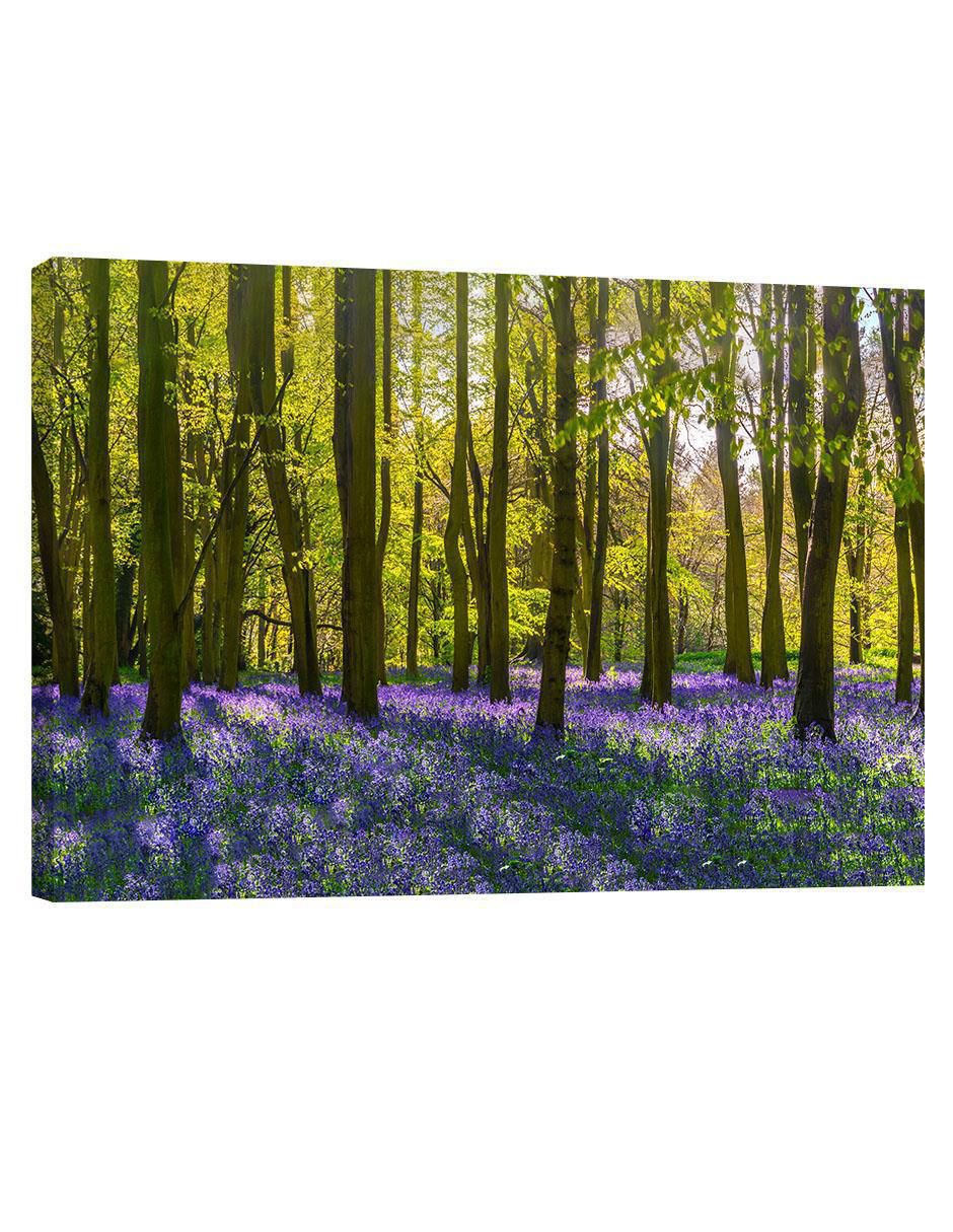 Cuadro decorativo Arboles y Lavanda