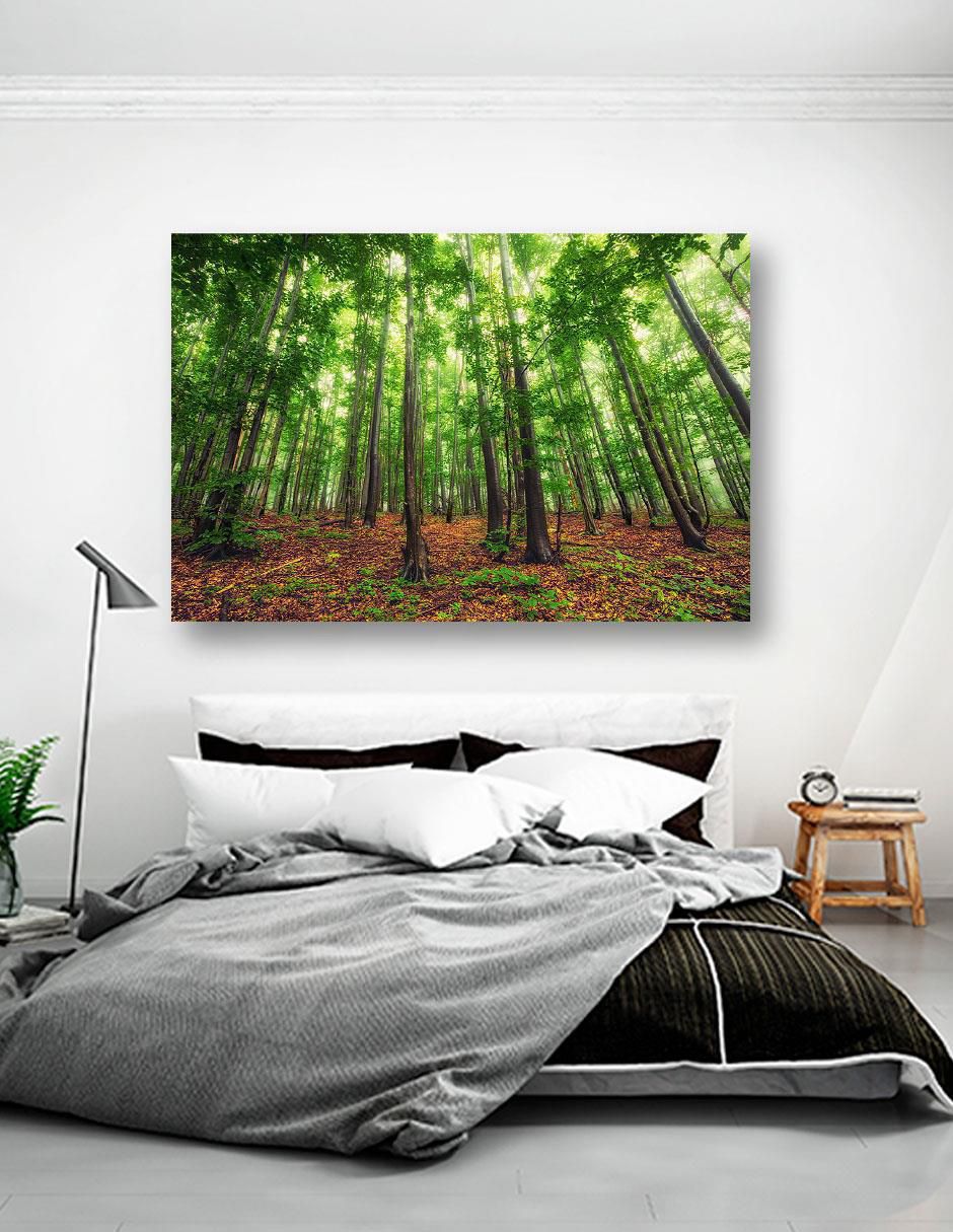 Cuadro decorativo Bosque Bello 5