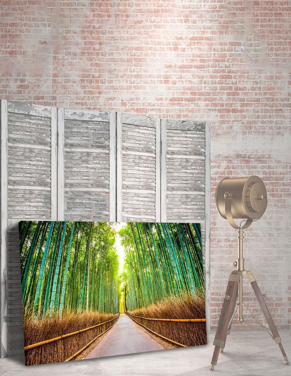Cuadro decorativo Naturaleza Bosque de Bamboo 4