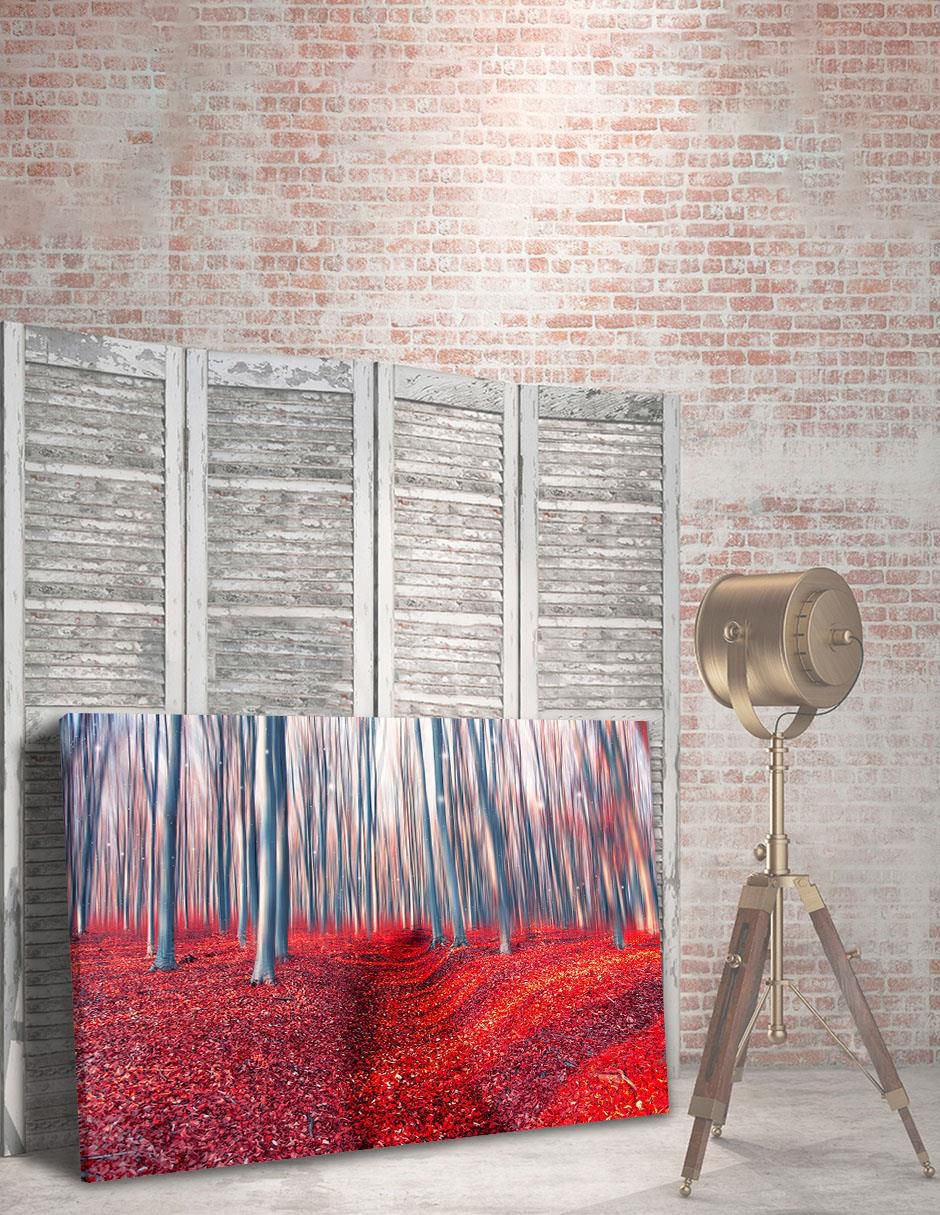 Cuadro decorativo Bosque Encantado 4
