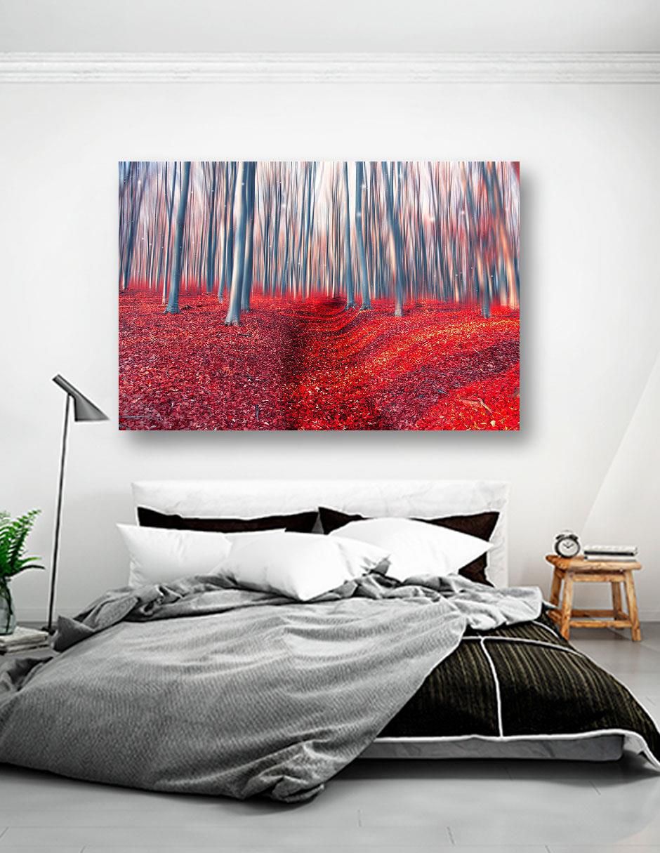 Cuadro decorativo Bosque Encantado 5