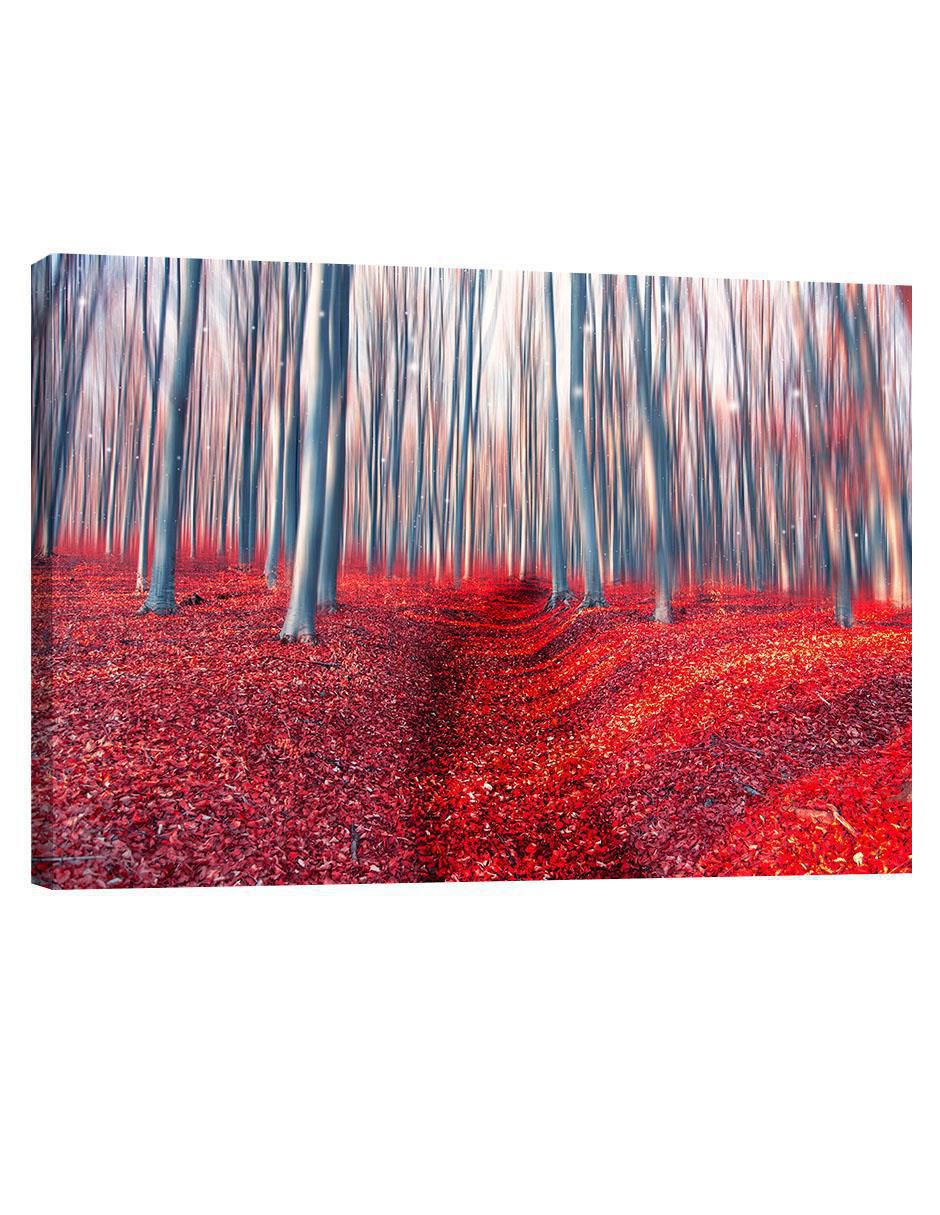 Cuadro decorativo Bosque Encantado Cuadro decorativo Bosque Encantado
