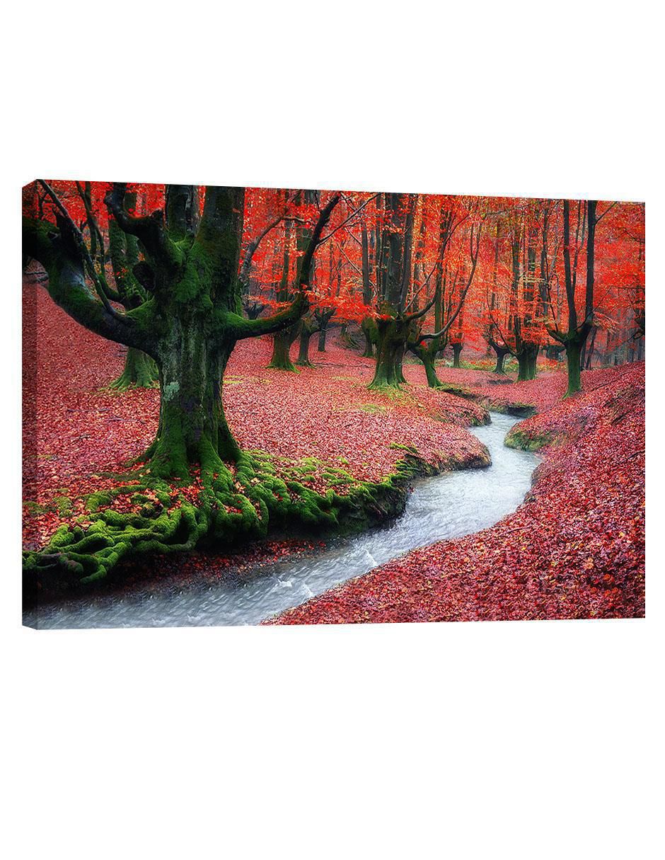 Cuadro decorativo Bosque Corriente Cuadro decorativo Bosque Corriente