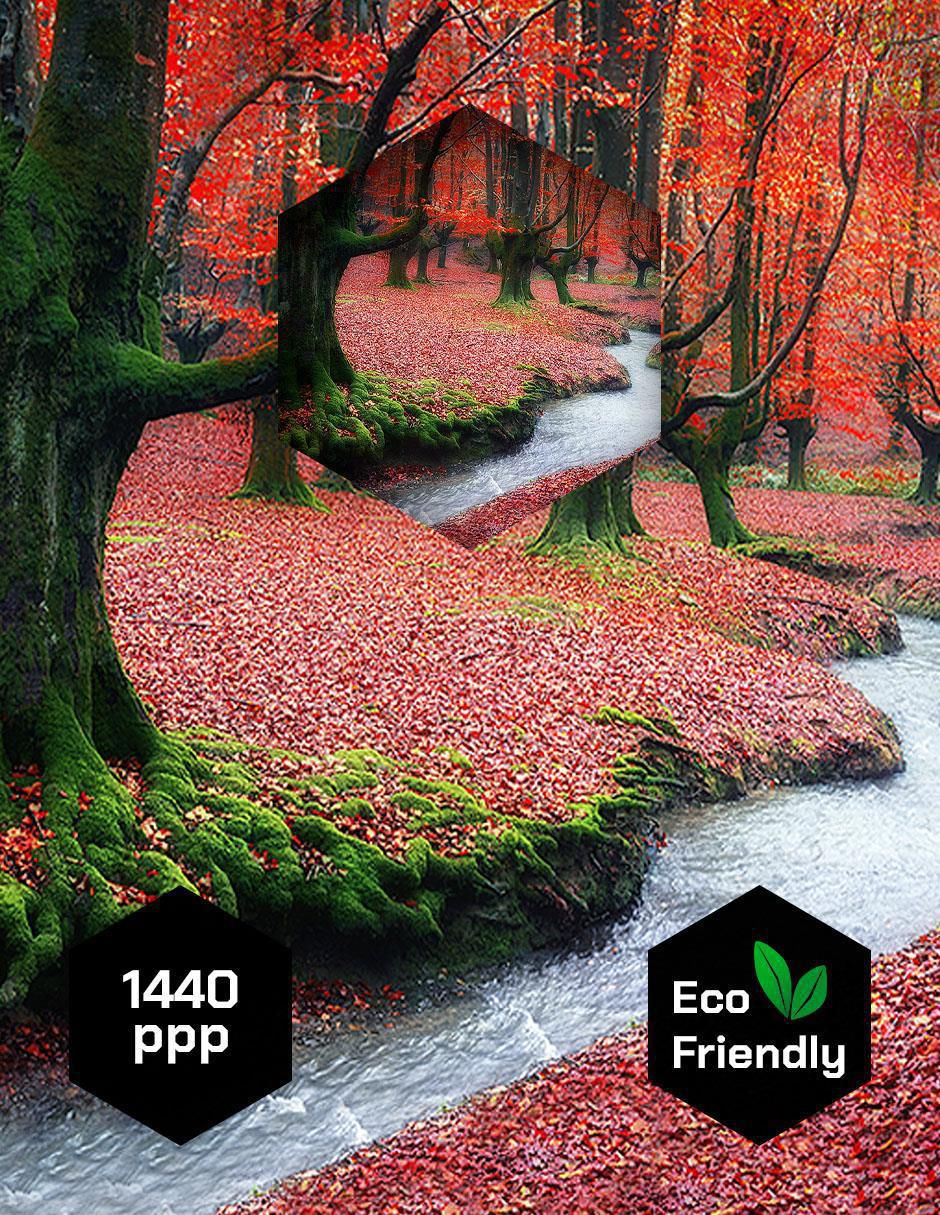 Cuadro decorativo Bosque Corriente 4