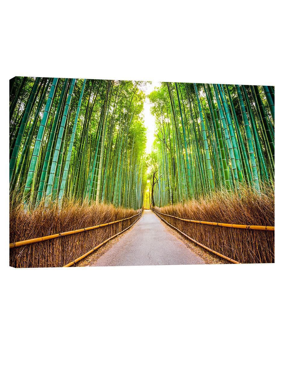Cuadro decorativo Naturaleza Bosque de Bamboo Cuadro decorativo Naturaleza Bosque de Bamboo