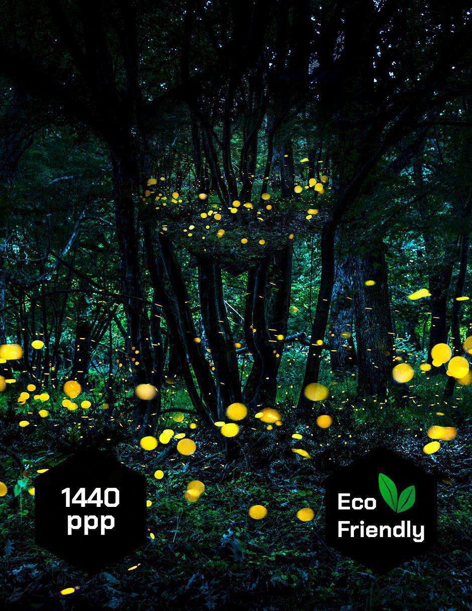 Cuadro decorativo Bosque Luciérnaga 4