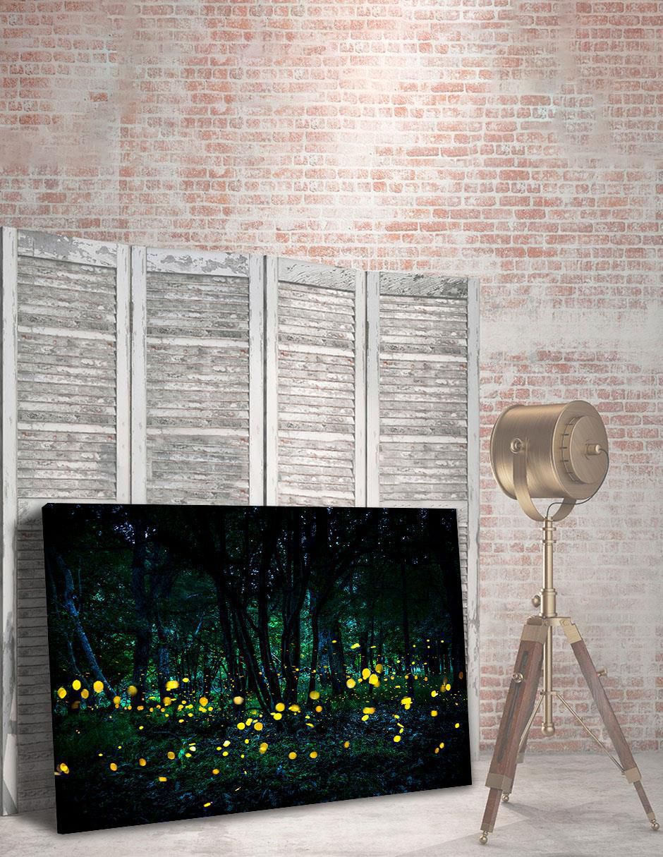 Cuadro decorativo Bosque Luciérnaga 5