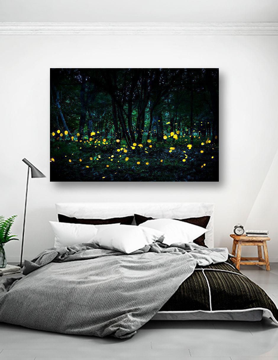 Cuadro decorativo Bosque Luciérnaga 2