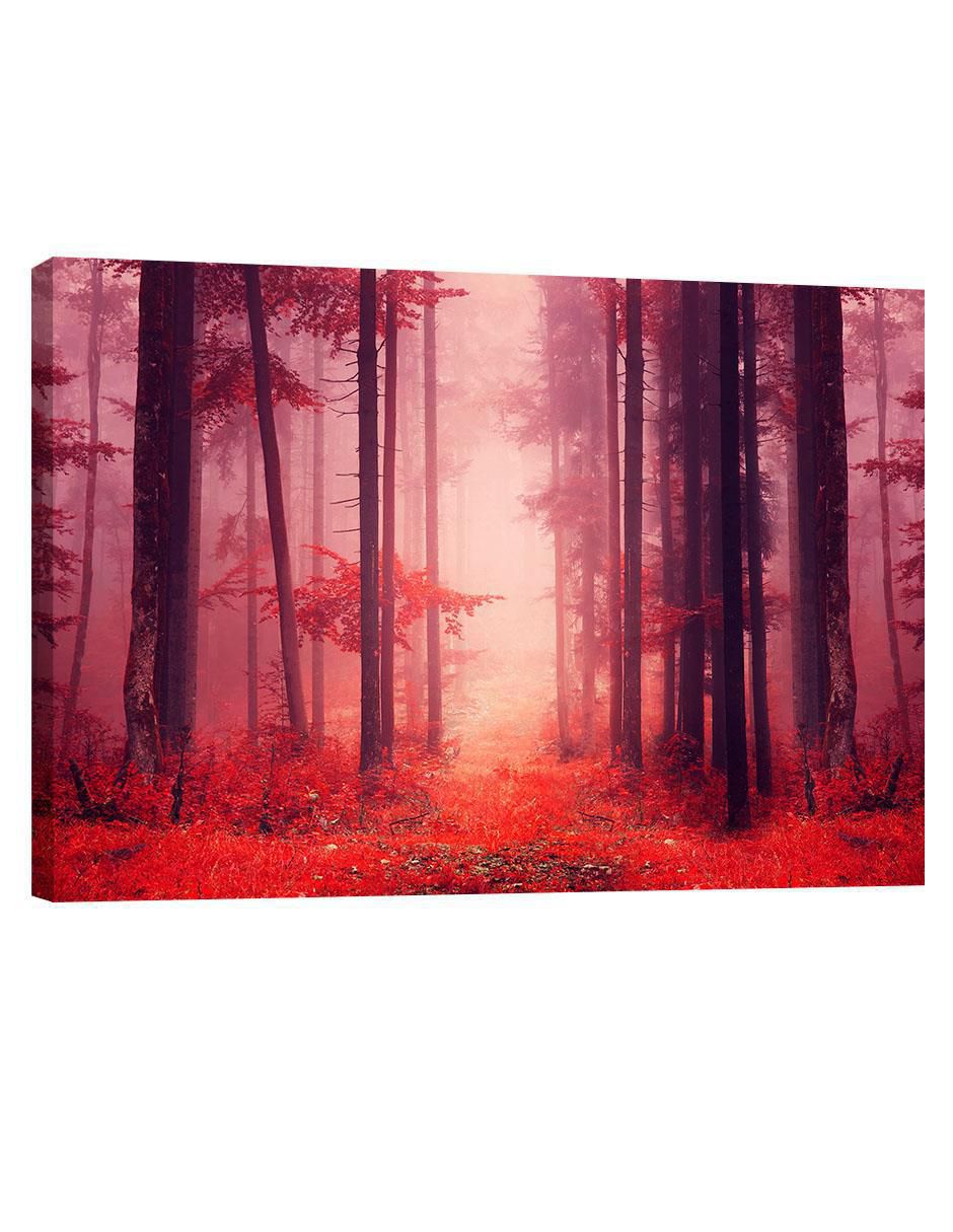 Cuadro decorativo Bosque Rojo