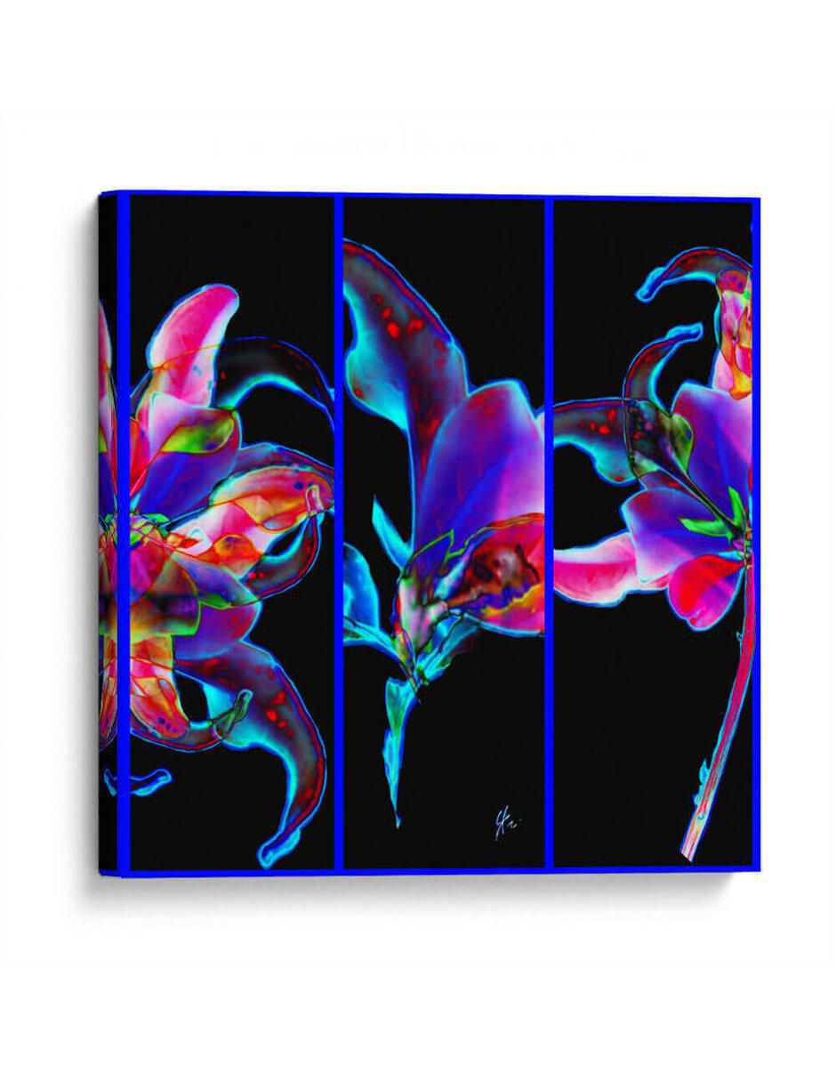 Cuadro Decorativo Botánica - Trilogía Floreada, YH