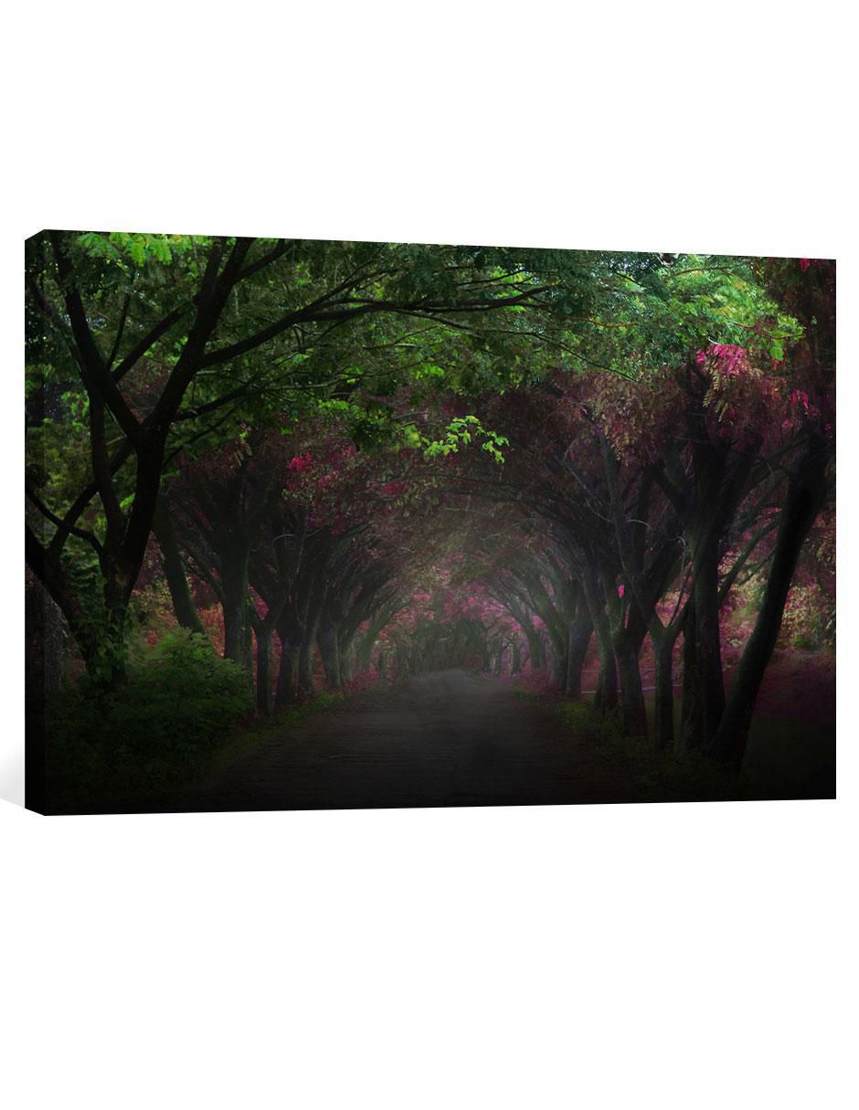 Cuadro Bosque Camino Obscuro Cuadro Bosque Camino Obscuro