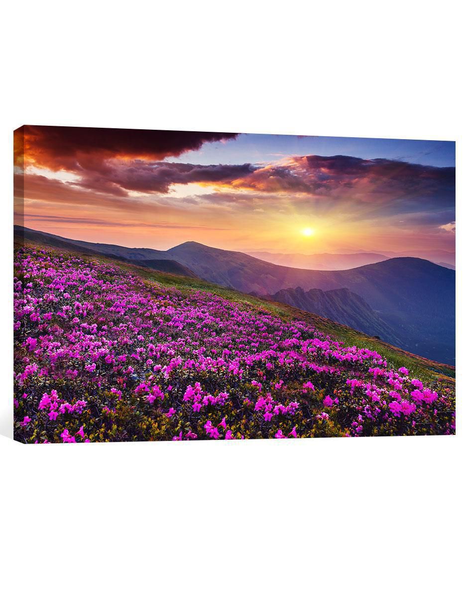 Cuadro decorativo Bosque Flores Moradas