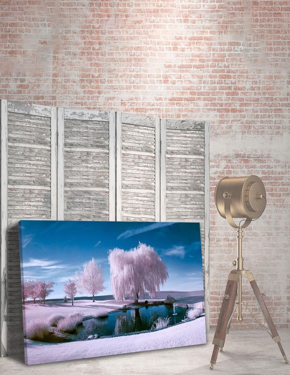 Cuadro decorativo Naturaleza Bosque Hielo con Lago 5
