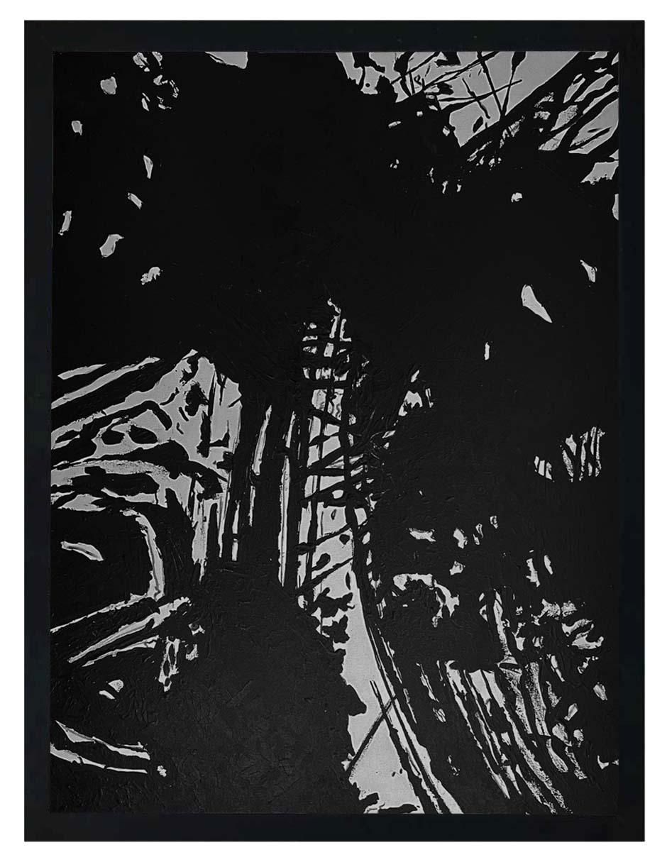 Pintura Black & White 5