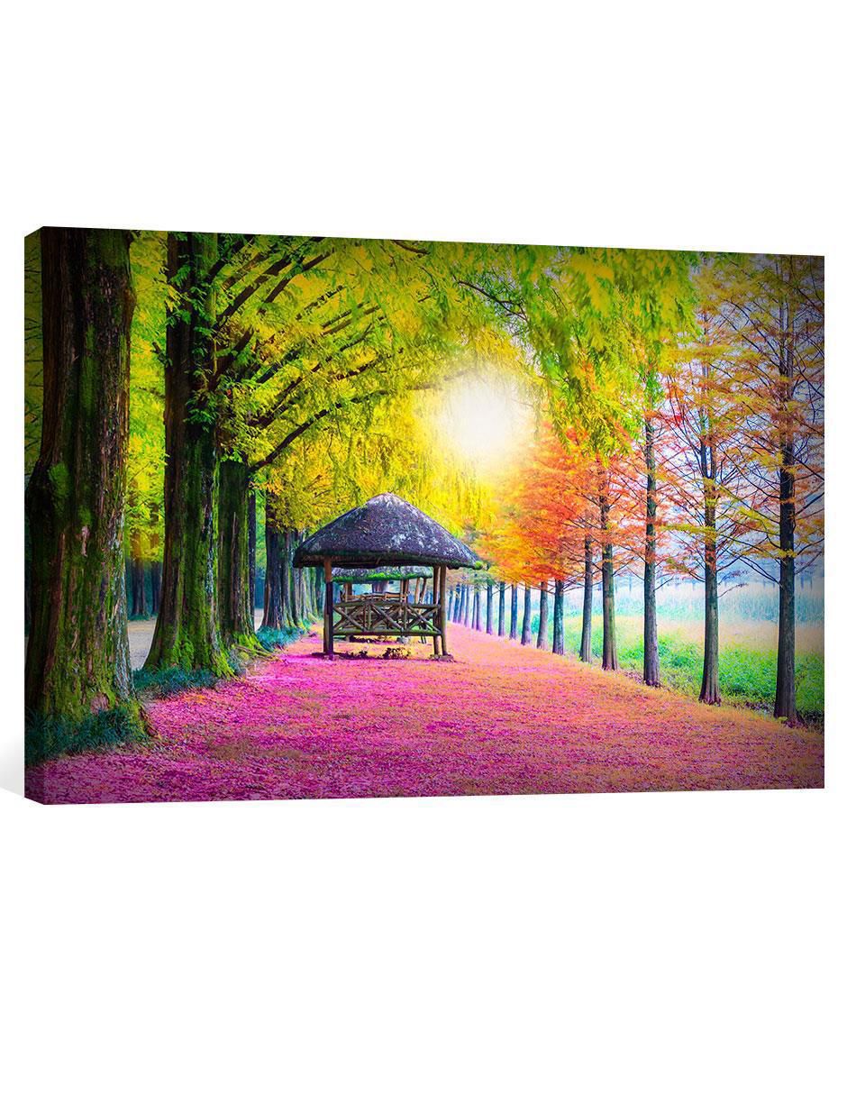 Fotografía Bosque Romántico