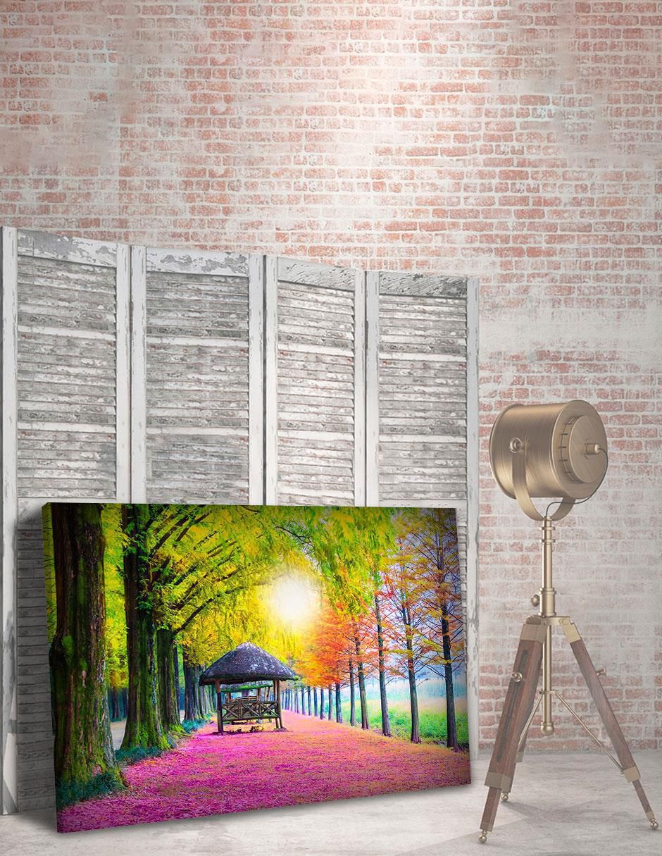 Fotografía Bosque Romántico 5