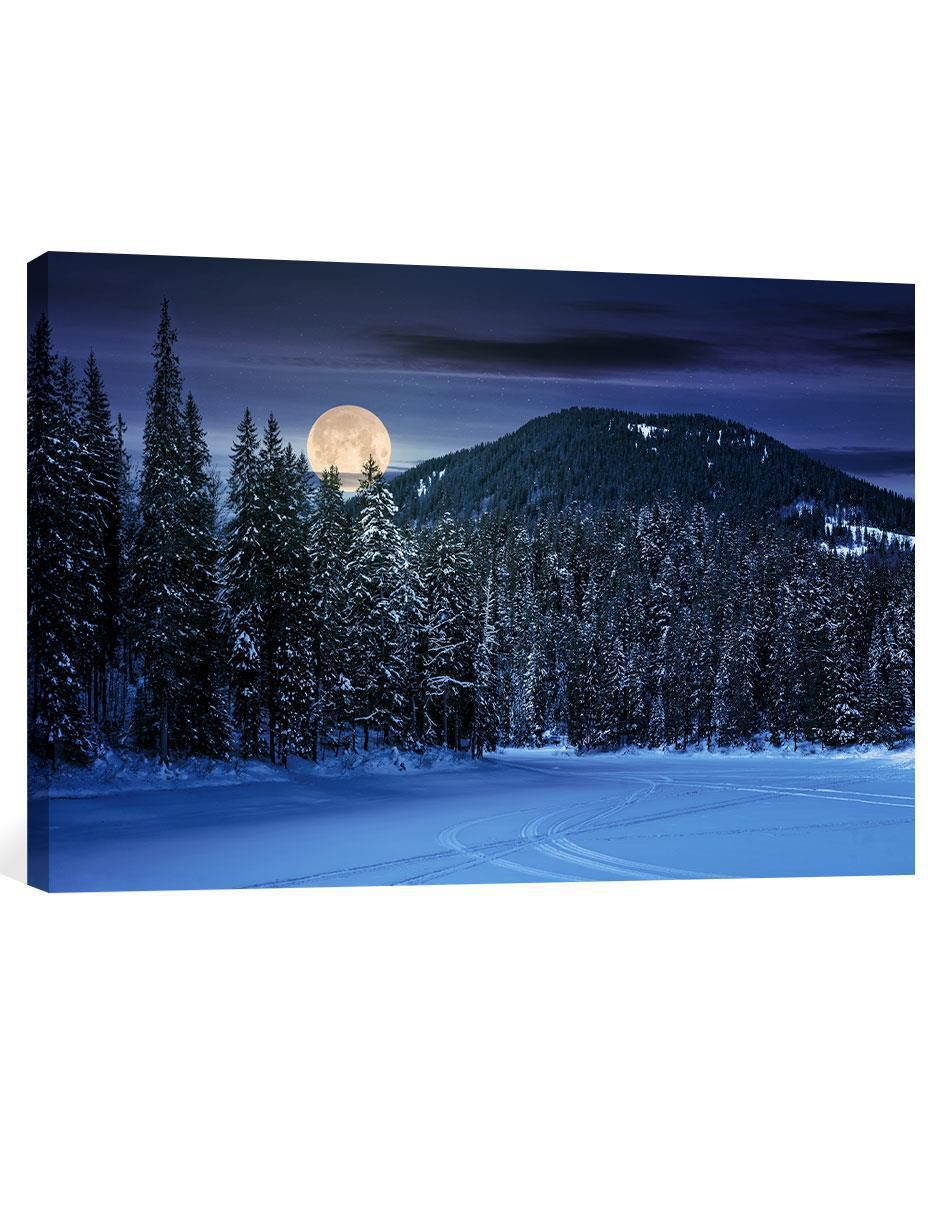 Fotografía Bosque Noche Nieve