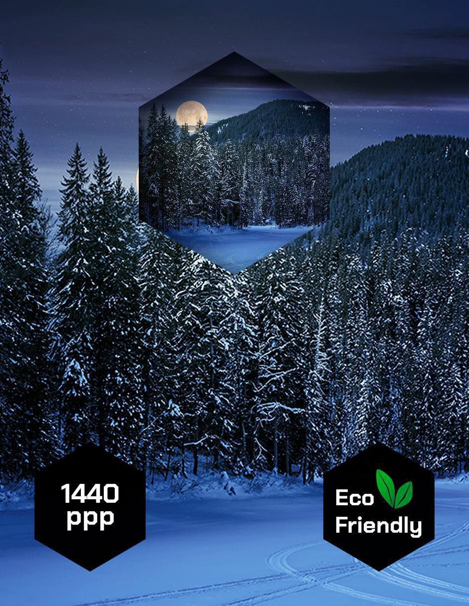 Fotografía Bosque Noche Nieve 3