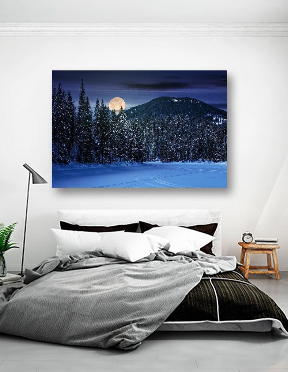 Fotografía Bosque Noche Nieve 4