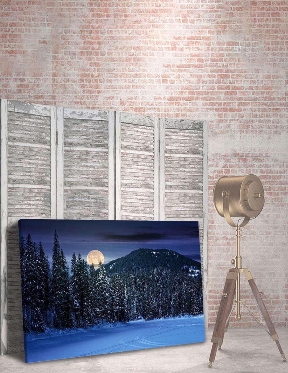 Fotografía Bosque Noche Nieve 5
