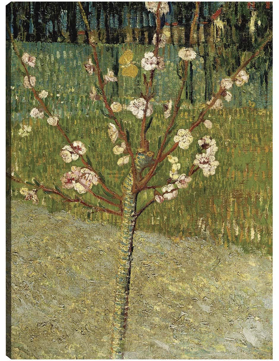 Cuadro decorativo Almendro en flor