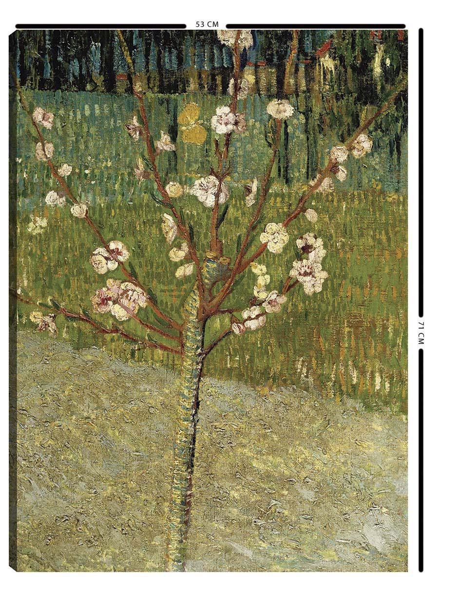 Cuadro decorativo Almendro en flor 3